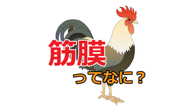 筋膜リリース のやり方 金スマで紹介された肩こり解消法 首の痛み ストレートネックの研究所