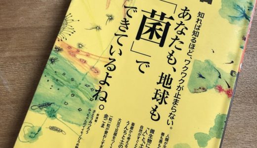 コロナ禍の2年前に出版された「あなたも地球も菌でできているよね」